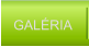GALÉRIA